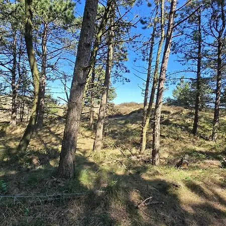 Lejlighed 5 Person In Romo-by Traum